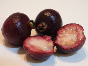 Nog geen foto beschikbaar